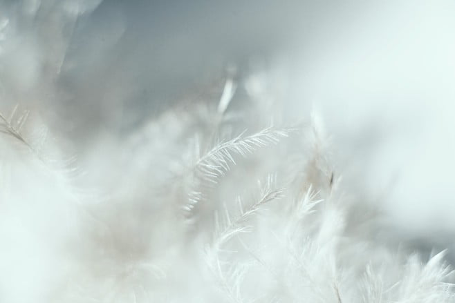 mindfulness coaching