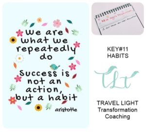 the power of successful habits